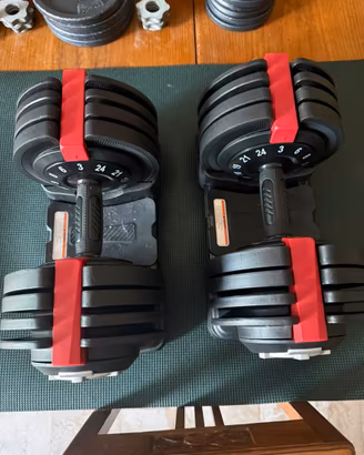 Set manubri palestra regolabili