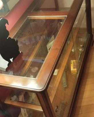 Vetrina Bassa Pregno Legno e Vetro Bifacciale