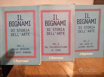 Bignami storia, storia dell'arte e italiano