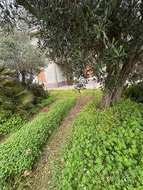Semi indipendente con giardino vista aperta