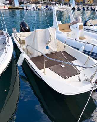 Boston Whaler Montauk 17 – Suzuki 40 CV – Accessor