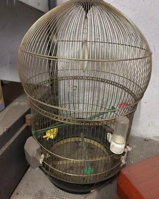 Gabbietta per uccellini