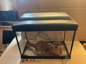 Acquario Cayman