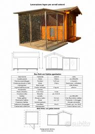 Box/Casetta per cani professionale con sgambatoio 