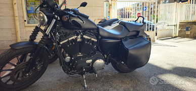 Harley davidson 883 iron 2014