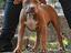 Immagine 3