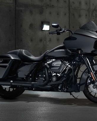 Parafango Anteriore Originale Harley Touring 2018