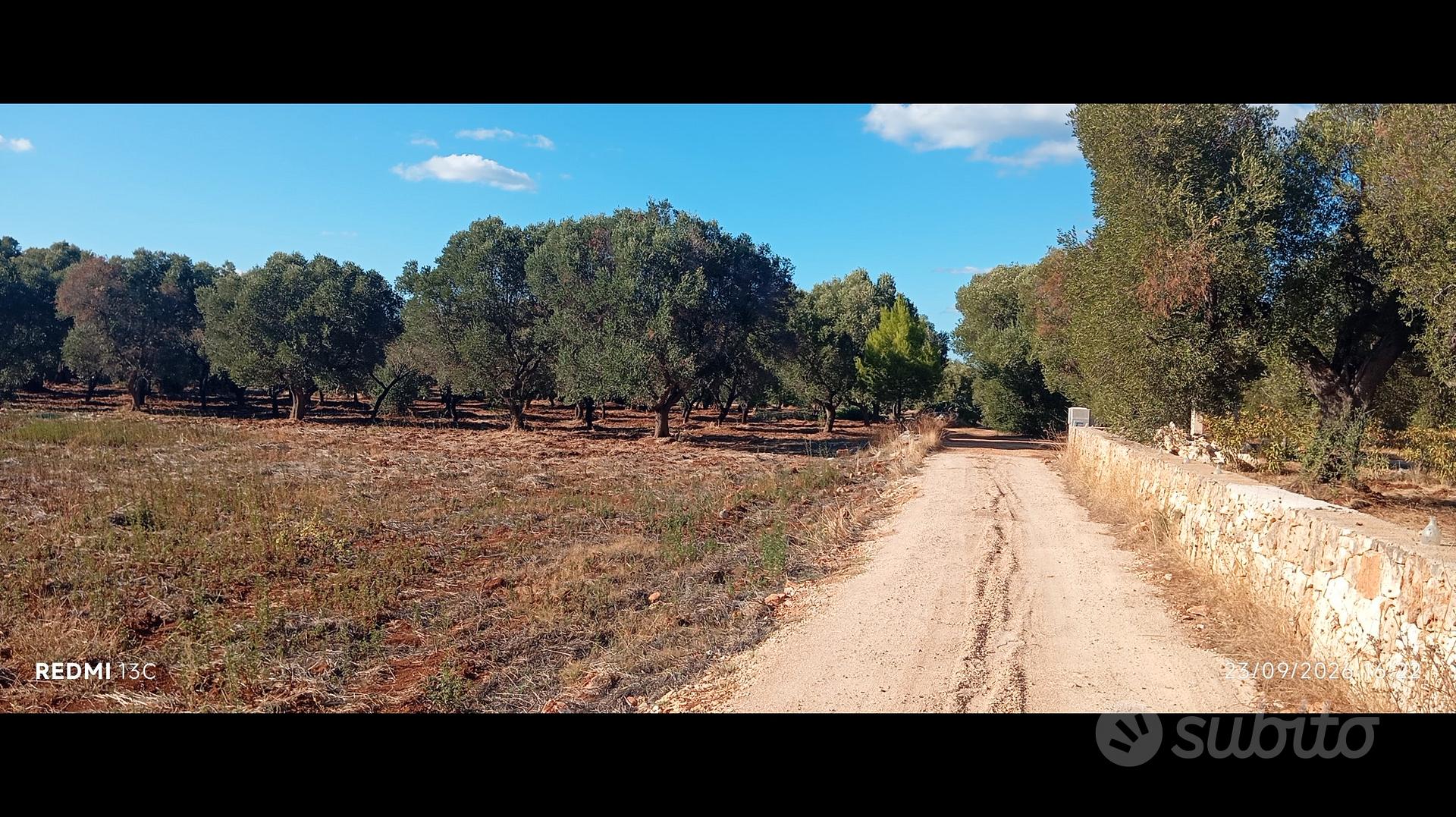 Ampio terreno vicino Ostuni - Vista 5