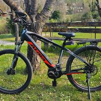 bicicletta elettrica