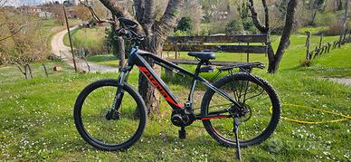 bicicletta elettrica