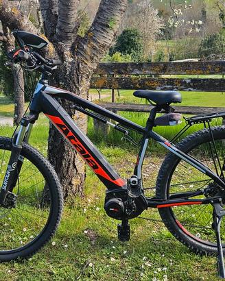 bicicletta elettrica