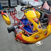 Go kart 100 PCR