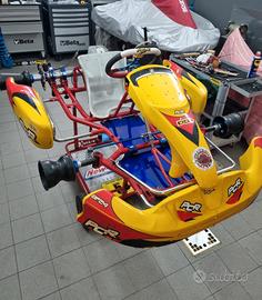 Go kart 100 PCR
