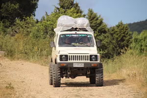 Suzuki santana