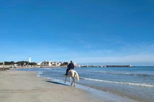 Meravigliose vacanze a Torre Canne