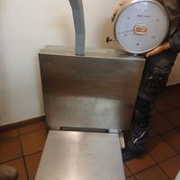 Bilancia professionale