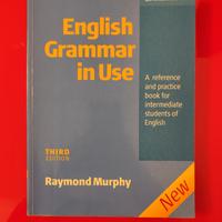 English grammar in use, terza edizione