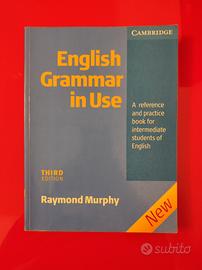 English grammar in use, terza edizione