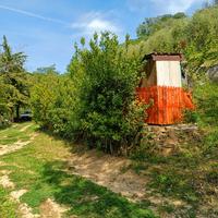 Terreno agricolo Manoppello 4000mq