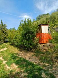 Terreno agricolo Manoppello 4000mq