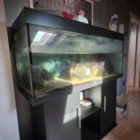Acquario 250 litri Juwel completo