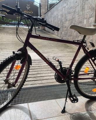 Mountain bike Atala