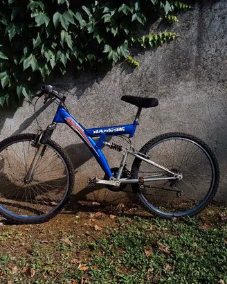 varie bici MTB uomo mountain bike