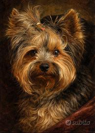 Yorkshire per accoppiamento