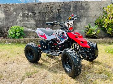 Miniquad raptor xxl 49cc