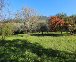 Spaziosa porzione angolare con giardino di 700 mq