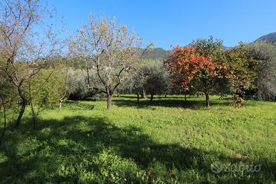 Spaziosa porzione angolare con giardino di 700 mq