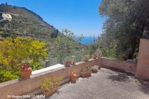 Terreno con ulivi e piccola unità immobiliare