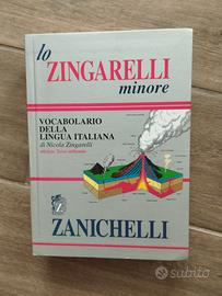 Dizionario "lo Zingarelli minore" Zanichelli