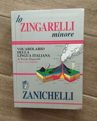 Dizionario "lo Zingarelli minore" Zanichelli