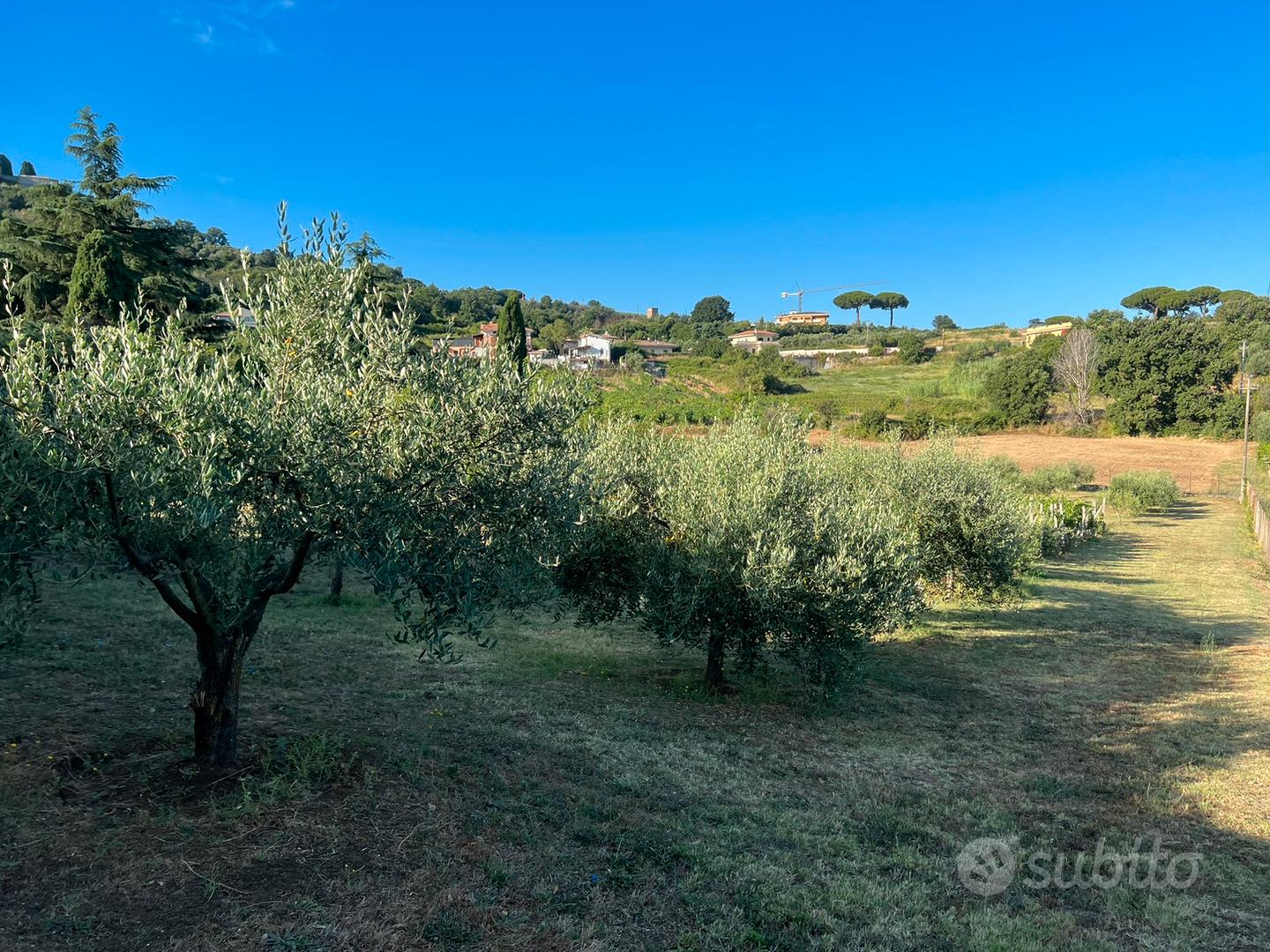 Terreno agricolo - View 6