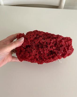 Corallo rosso naturale decorativo