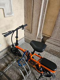 Bici ELETTRICA