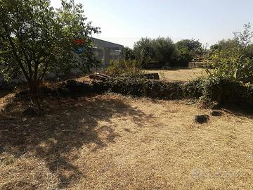 Terreno - Catania