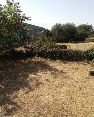 Terreno - Catania
