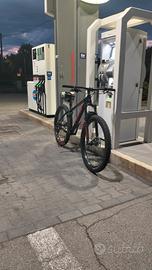 Trek roscoe 7
