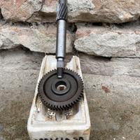 Rapporti scooter Phamtom F12