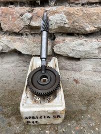 Rapporti scooter Phamtom F12