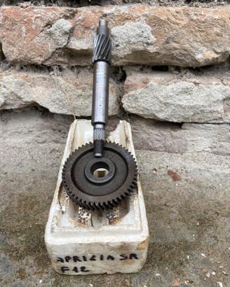 Rapporti scooter Phamtom F12