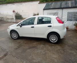 Fiat Punto 1.4 8V 5 porte Natural Power Street