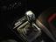 Immagine 13