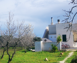 Villa primavera con piscina