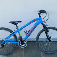 Bici MTB lombardo 24”