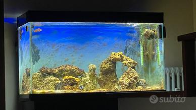 Acquario CIANO 209 litri