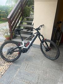 Ebike emtb