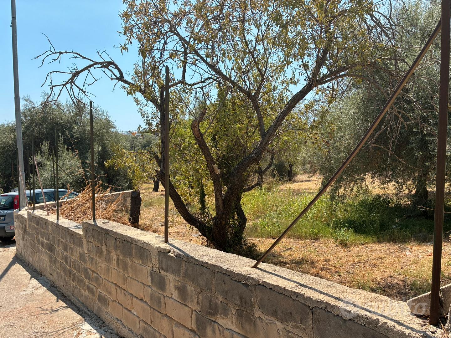Terreno agricolo in contrada Chiusa di Carlo - Vista 2